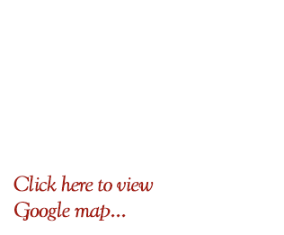 google map button